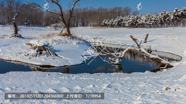 東北冬天霧凇樹(shù)掛雪景86-匯圖網(wǎng) www.fosd68.com 東北冬天霧凇樹(shù)掛雪景86