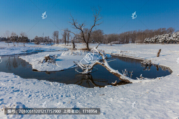 東北冬天霧凇樹掛雪景88