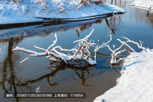 東北冬天霧凇樹掛雪景91