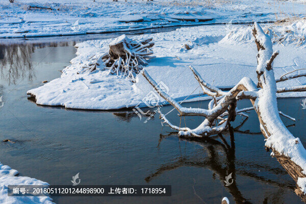 東北冬天霧凇樹掛雪景92