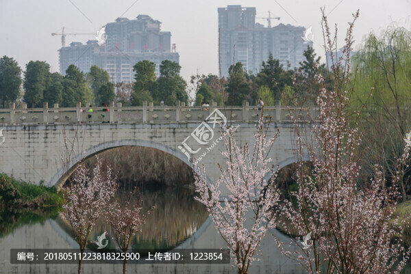 石拱橋,濕地公園