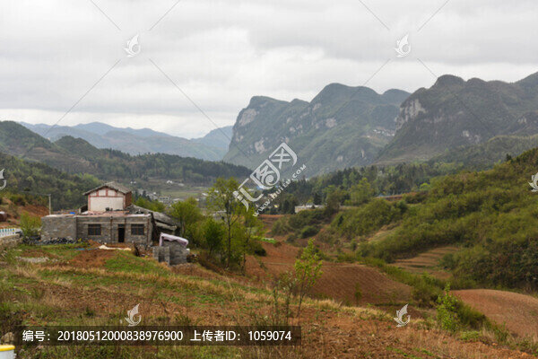 山野