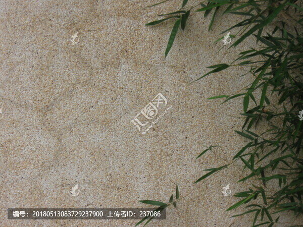 竹葉與石紋墻
