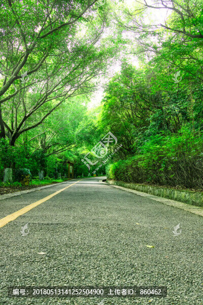 林間小道