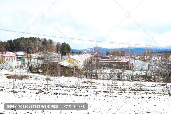 覆雪的玉米地,東北的村莊