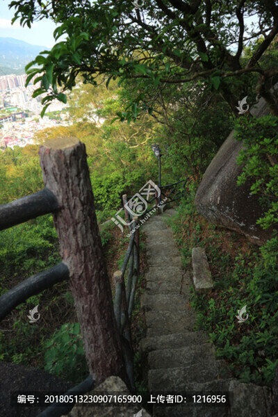 山間小路