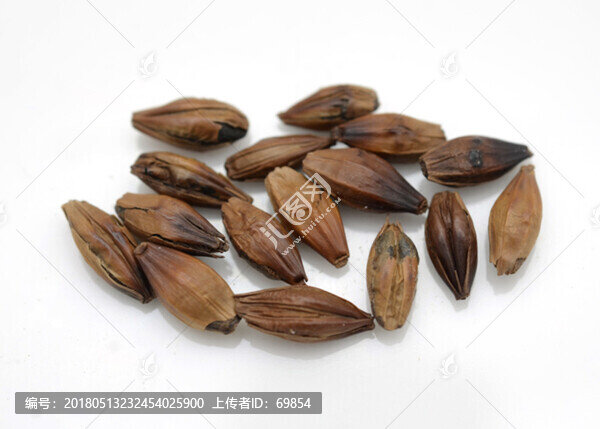 大麥茶