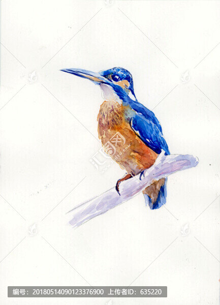 水彩鳥