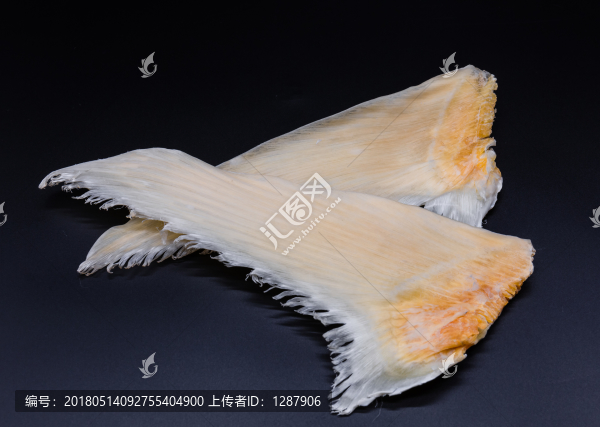 青片魚(yú)翅