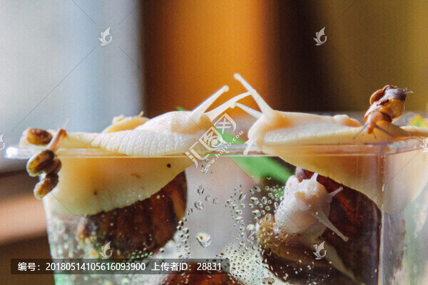 蝸牛