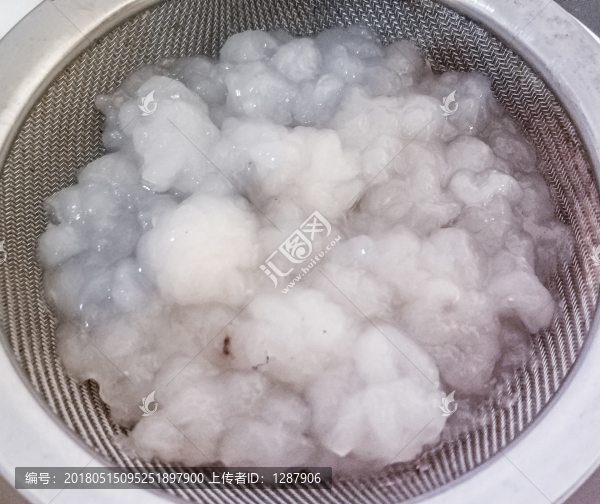 發(fā)好的雪蛤