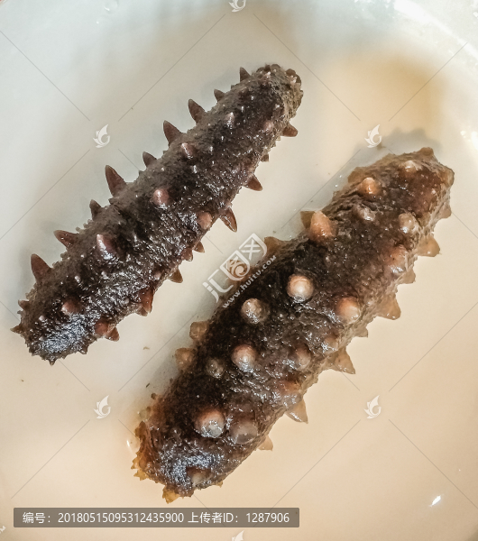水發(fā)遼參