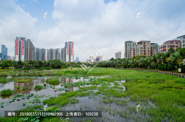 中澳友誼花園,公園