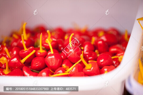 食品
