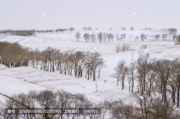 壩上春雪