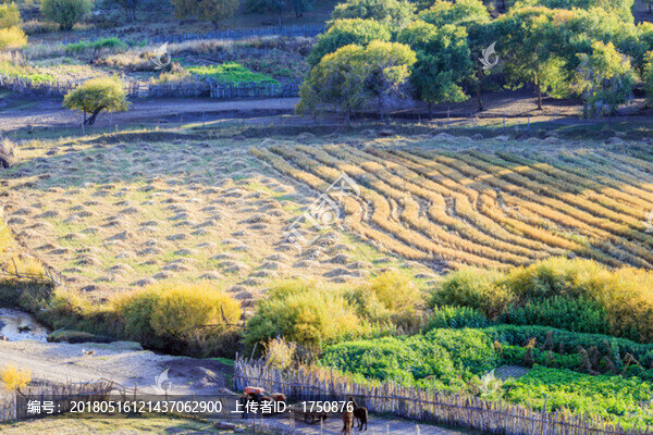 蛤蟆壩風(fēng)光