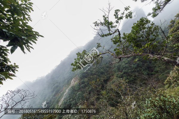 三清山風(fēng)光