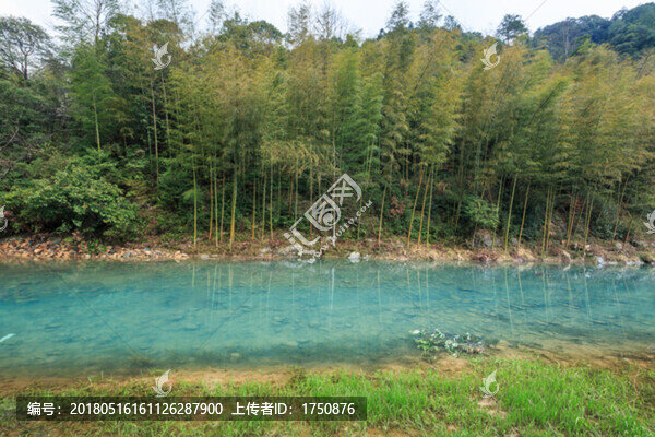 林間小溪