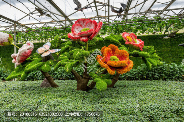 菜博會(huì)