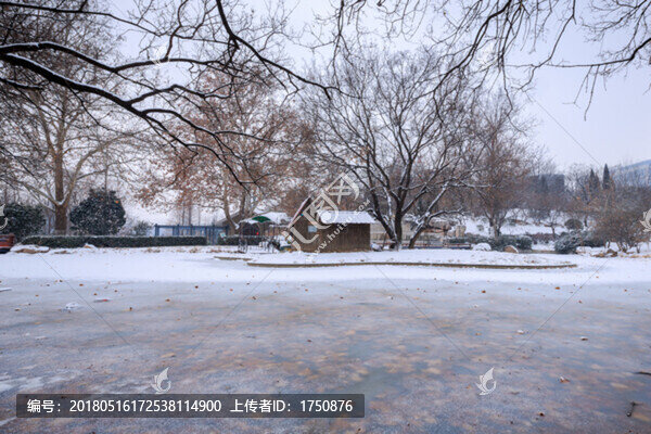 公園雪景