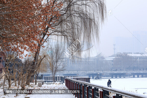 公園雪景