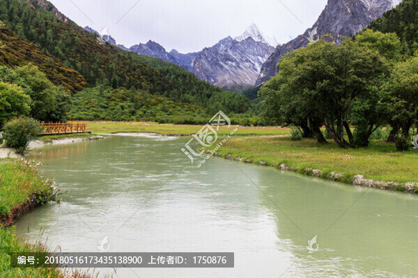 高山溪流