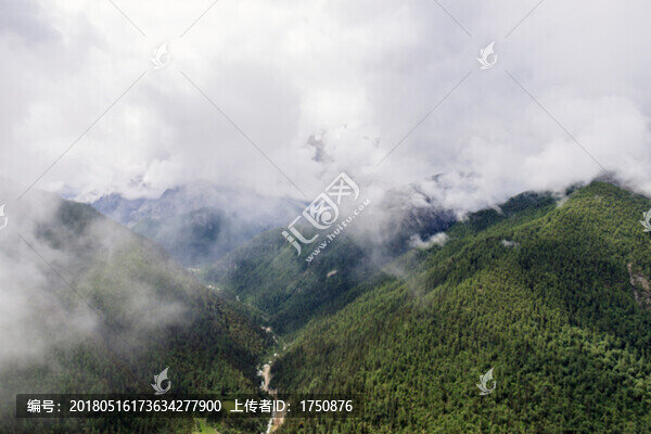 高山迷霧