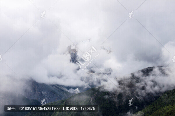 高山迷霧