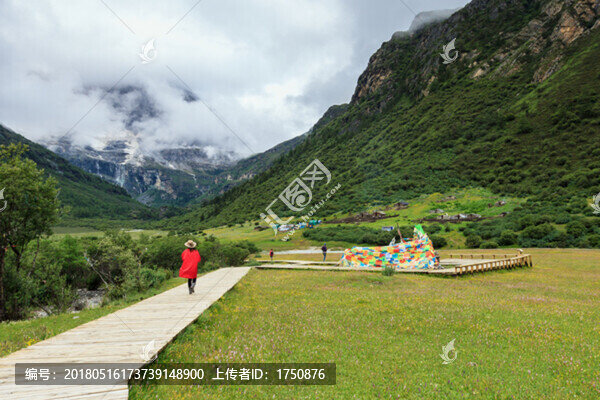 高山草甸風光