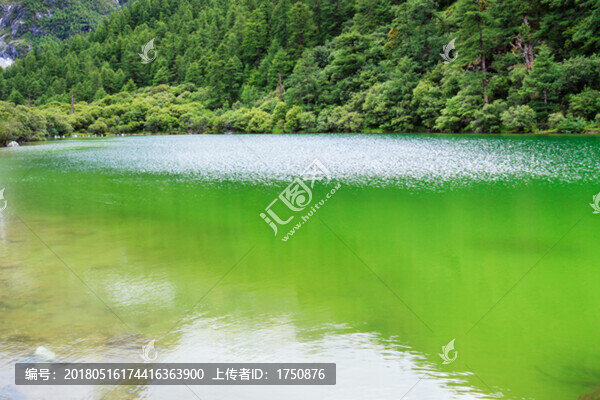 滴翠的風景