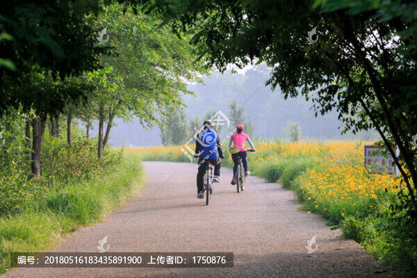 林蔭路上