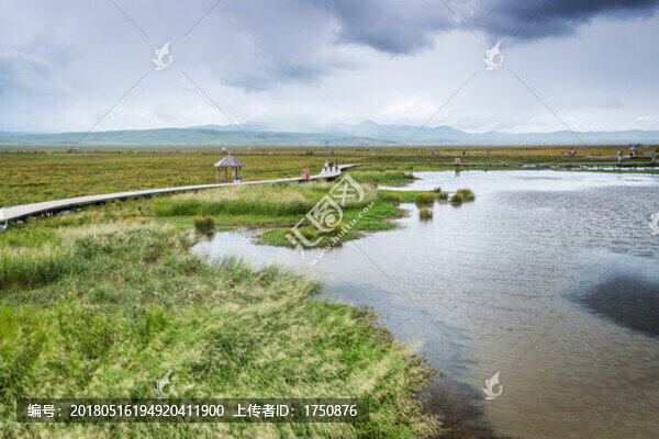 高原花湖
