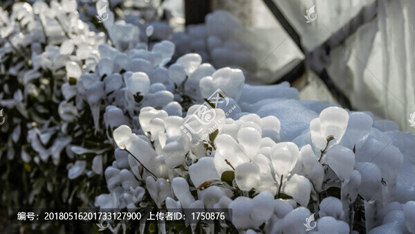 冰雪奇觀