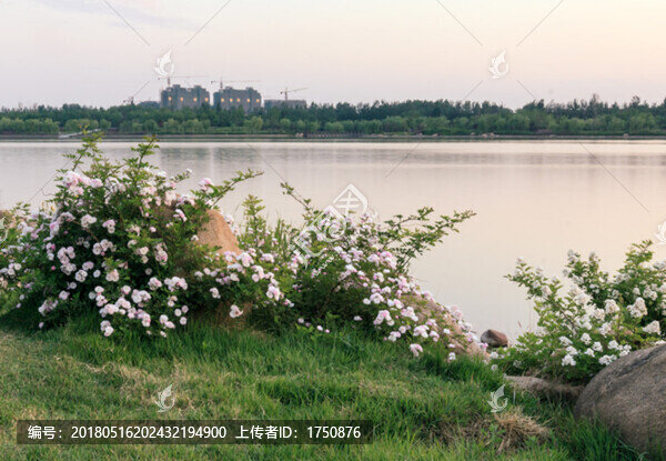 河濱暮色