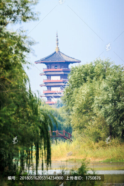 濕地的塔