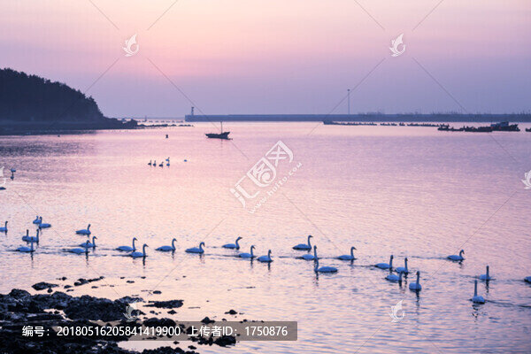 天鵝湖