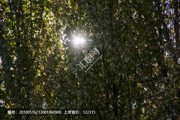 一隙陽光