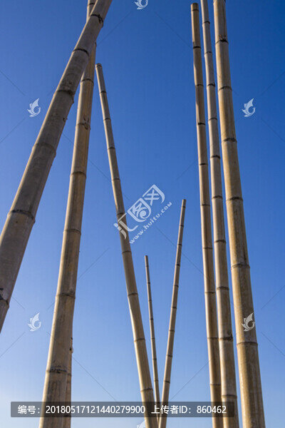 竹竿,桿子