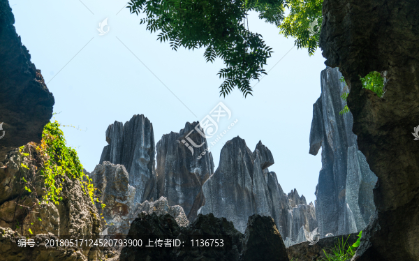 石林地質(zhì)公園