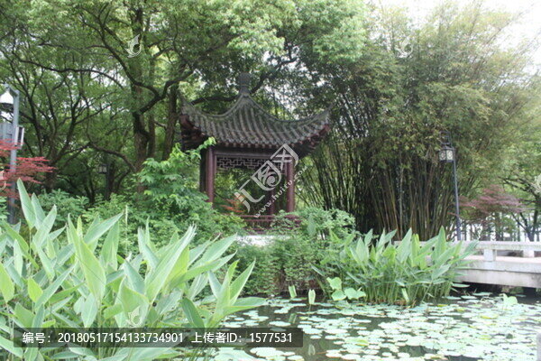 荷塘亭子