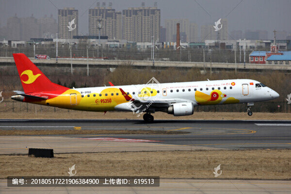 天津航空,彩繪飛機,降落