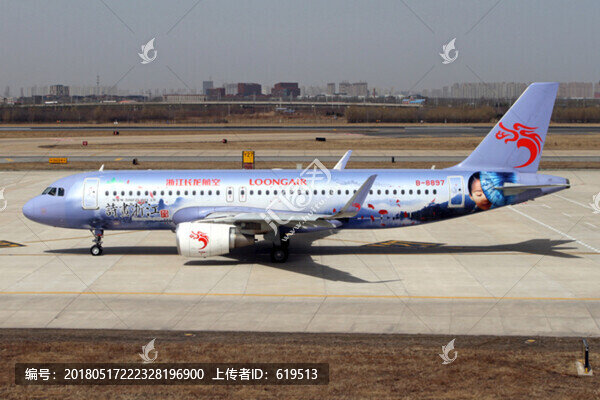 長龍航空,詩畫浙江,彩繪飛機(jī)