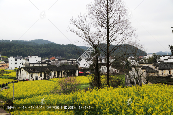 上饒市,婺源縣,思溪延村景區(qū)