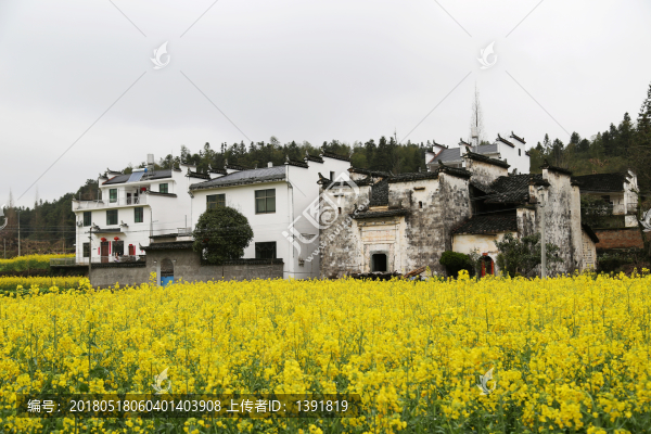上饒市,婺源縣,思溪延村景區(qū)