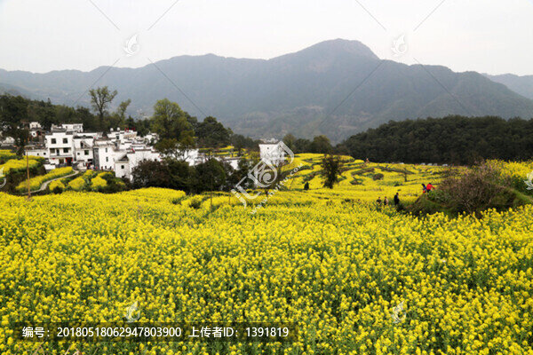 婺源縣,江嶺景區(qū),江嶺村