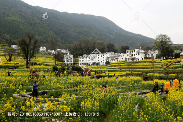 婺源縣,江嶺景區(qū),江嶺村