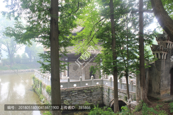 池塘