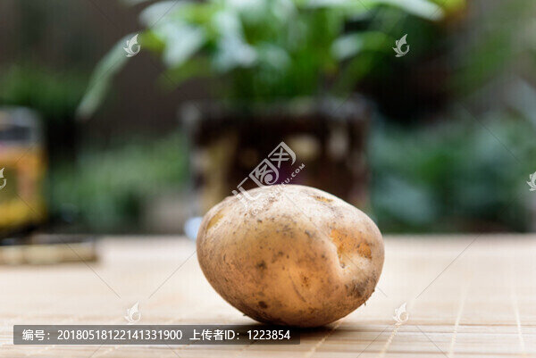 土豆特寫(xiě)