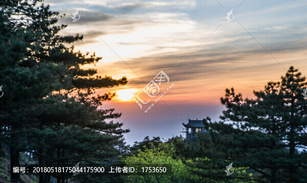 夕陽