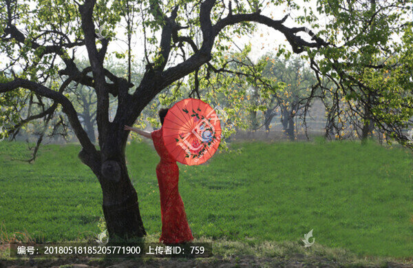 春天,女人,旗袍,紅傘